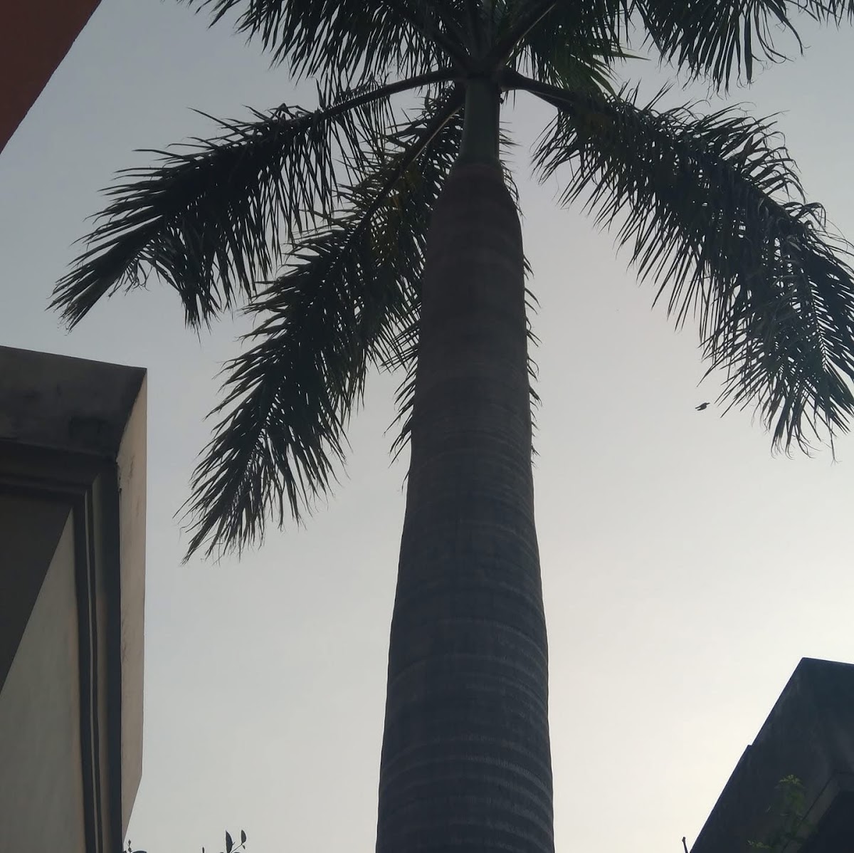 Johar Town Boys Hostel — photo 7