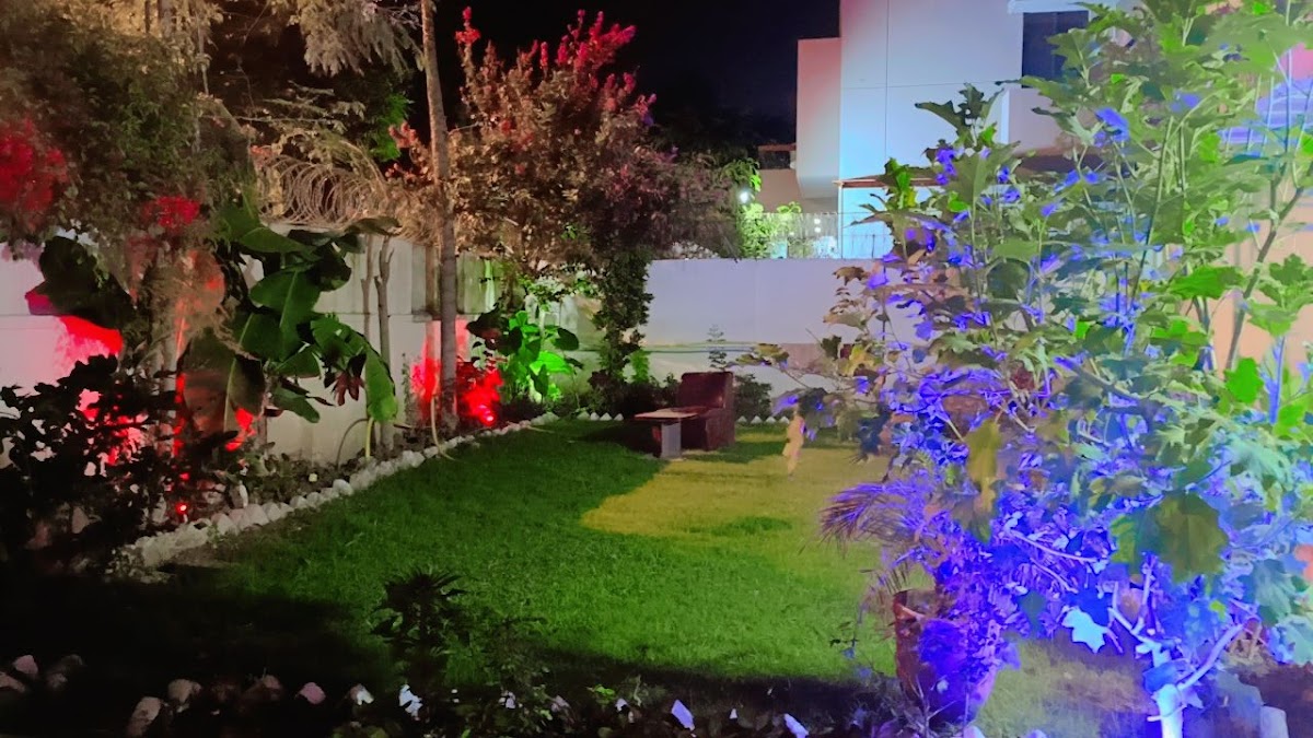 Luxury Moon Guest House — photo 6