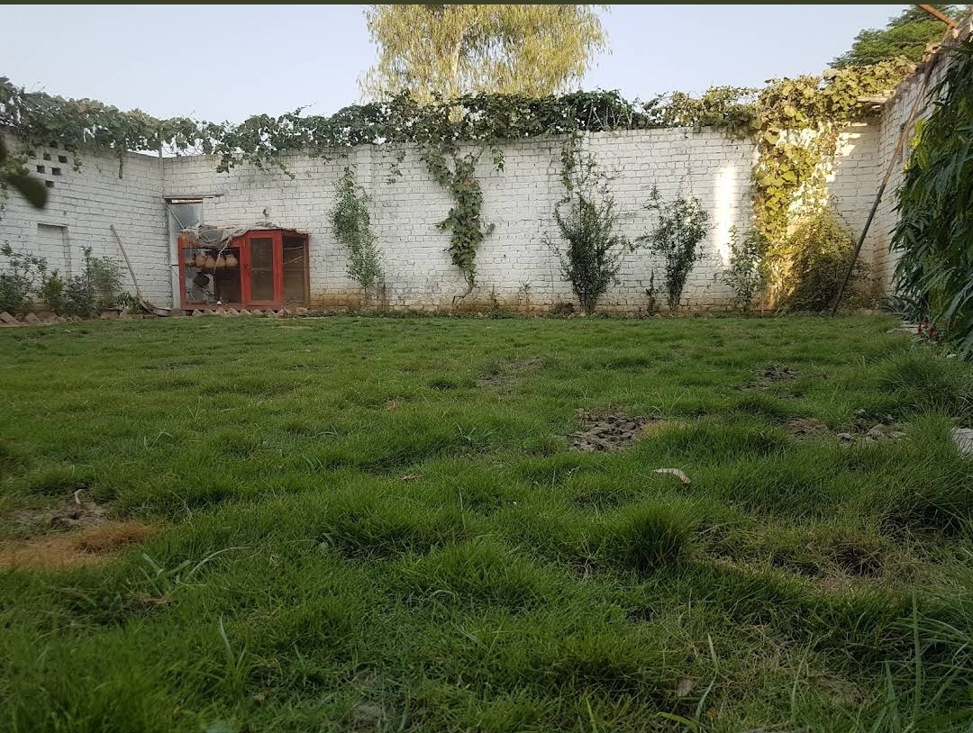 Tanvir Girls Hostel Peshawar — photo 10