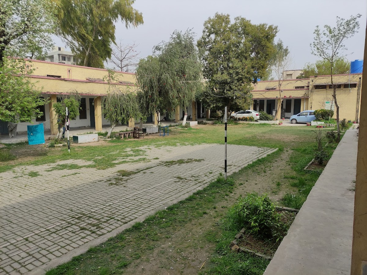 Hostel — photo 10
