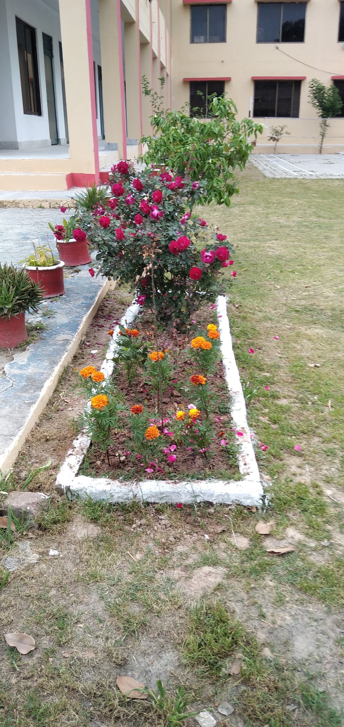 Hostel — photo 7