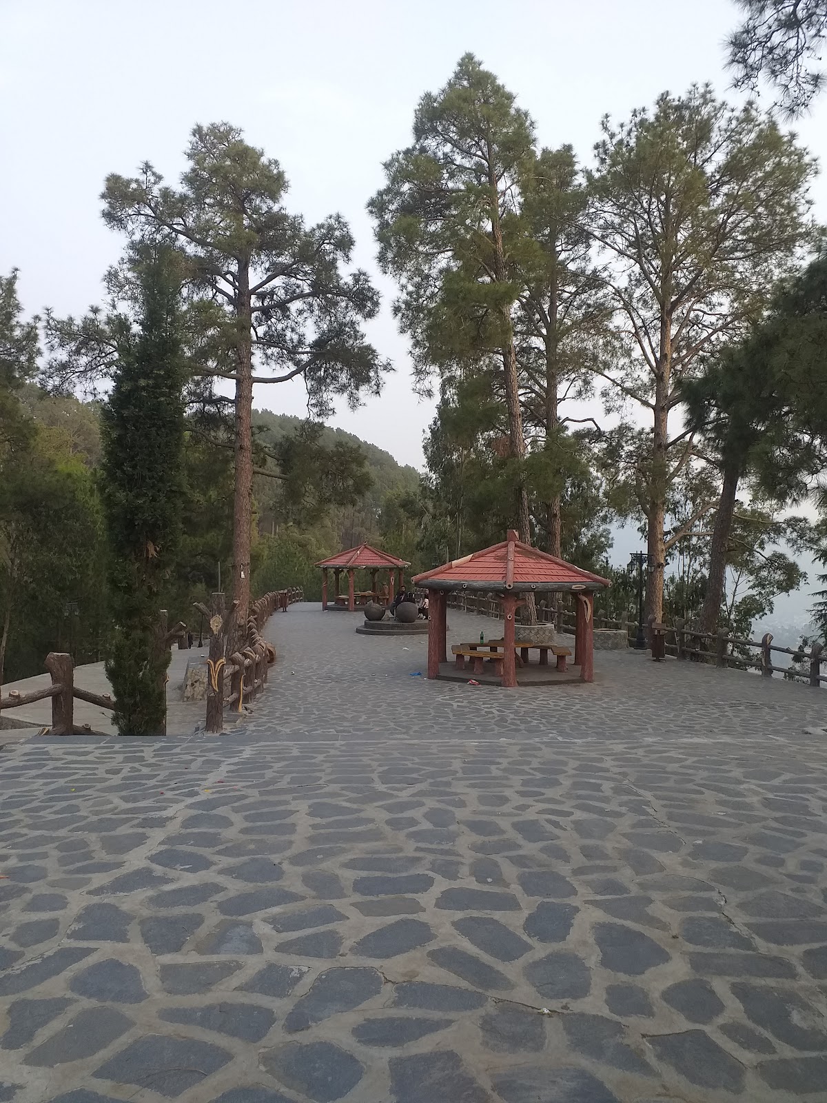 PTCL Rest House Shimla Hill — photo 8