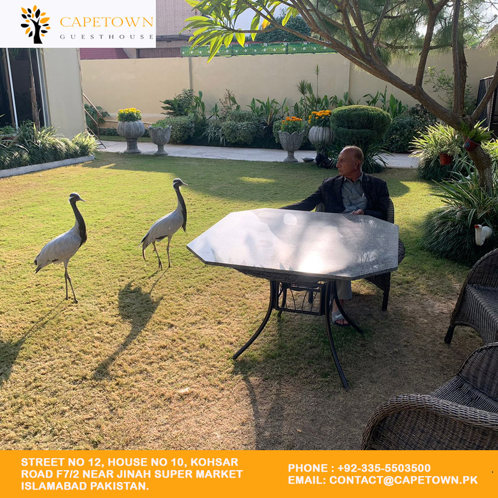 CapeTown Guest House Islamabad — photo 10