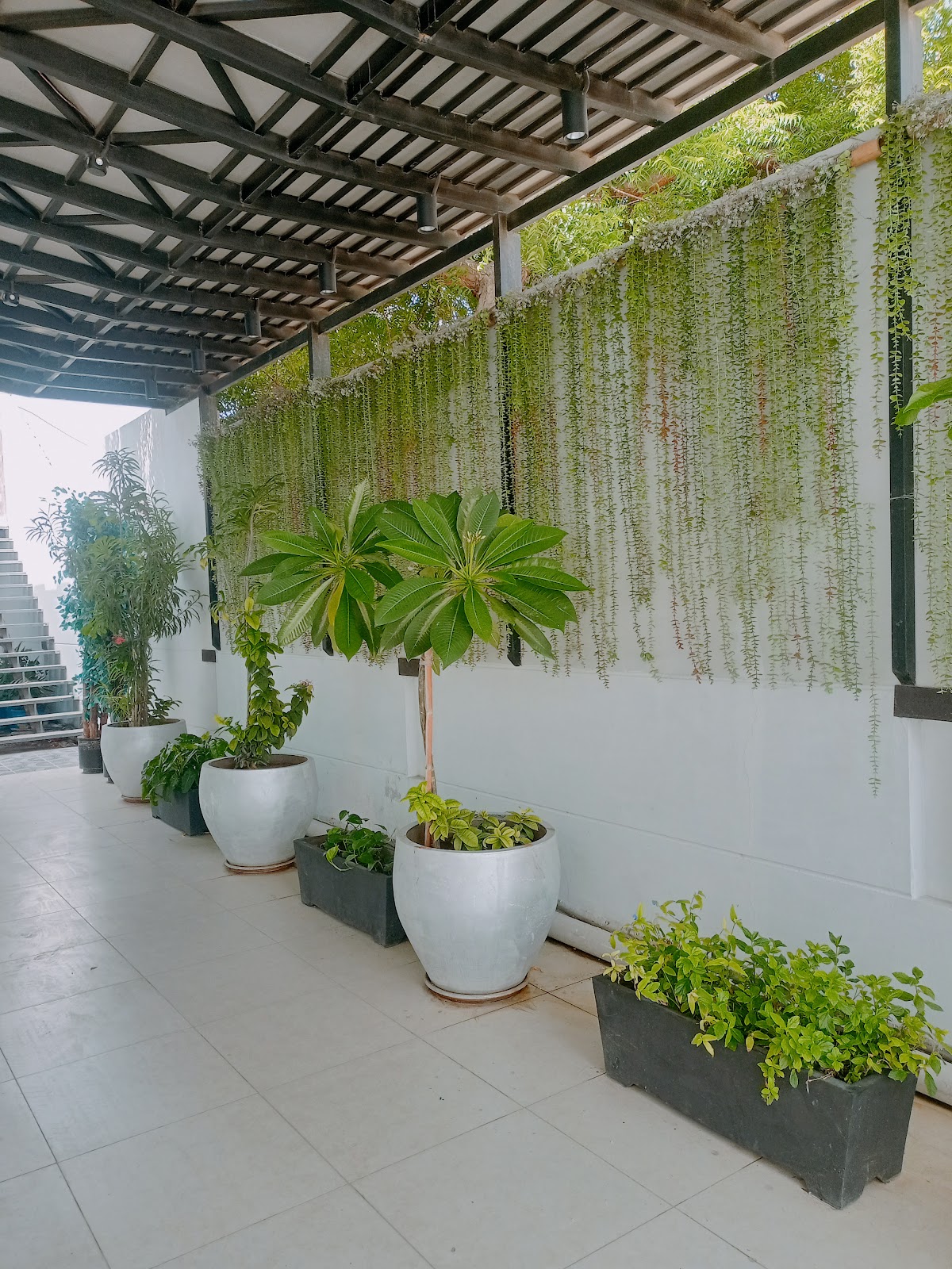 Seashell Grand hotel — photo 7