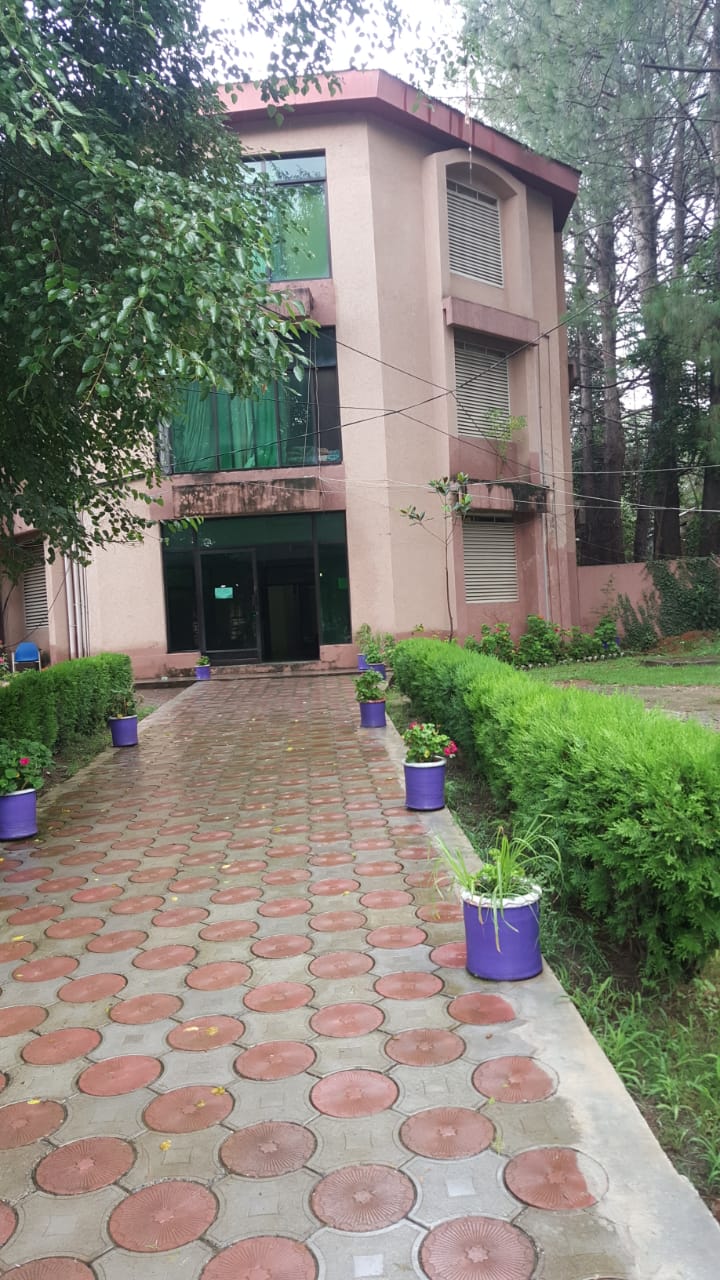 SF Girls Hostel — photo 6