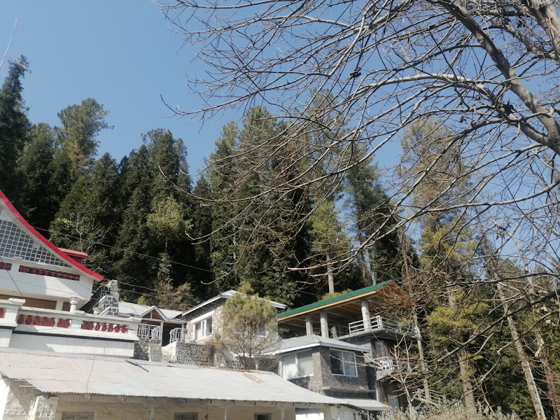 Summer Cottage - boys hostel in Nathia Gali, Khyber Pakhtunkhwa