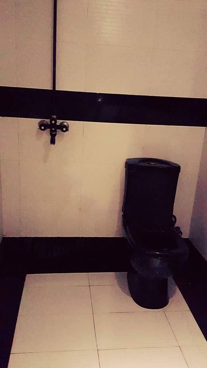 Hotel Alpine Lahore — photo 6