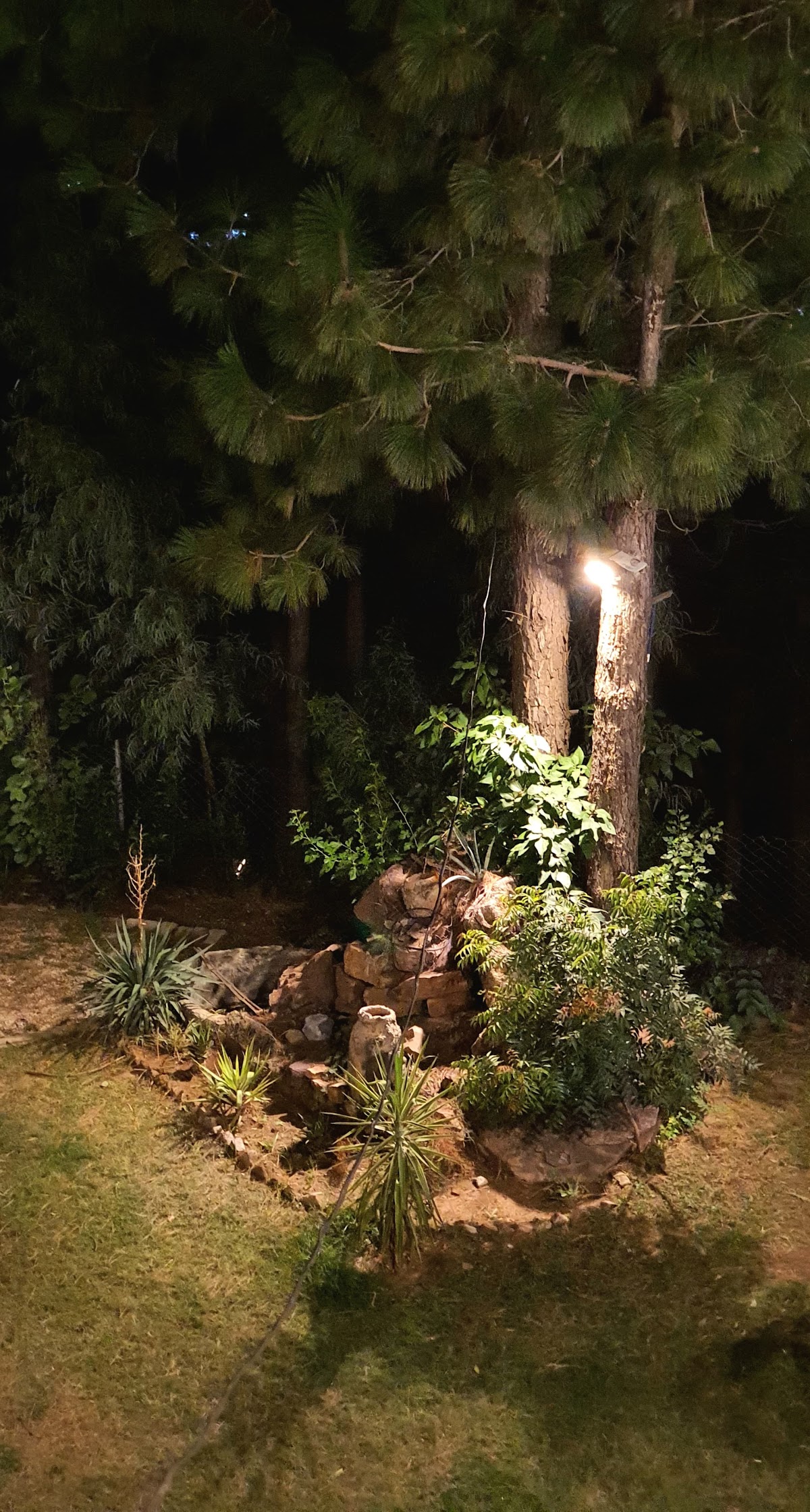Dera Qazi — photo 8