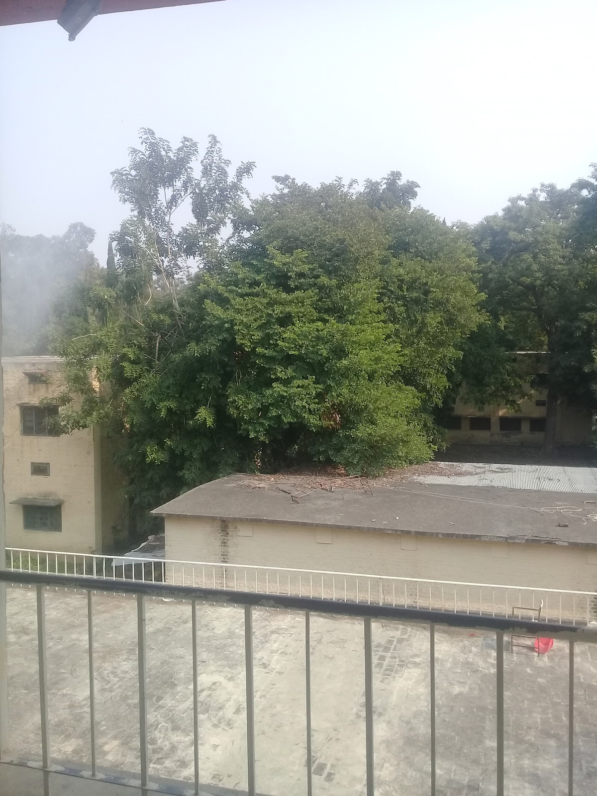 Pedral Hostel