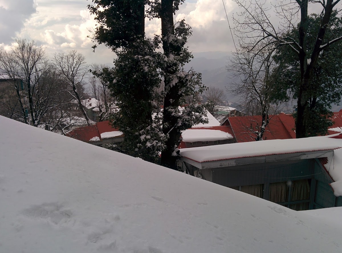 Holiday Homes — photo 10