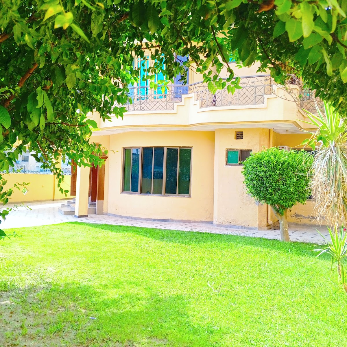 Sky Rose Guest House