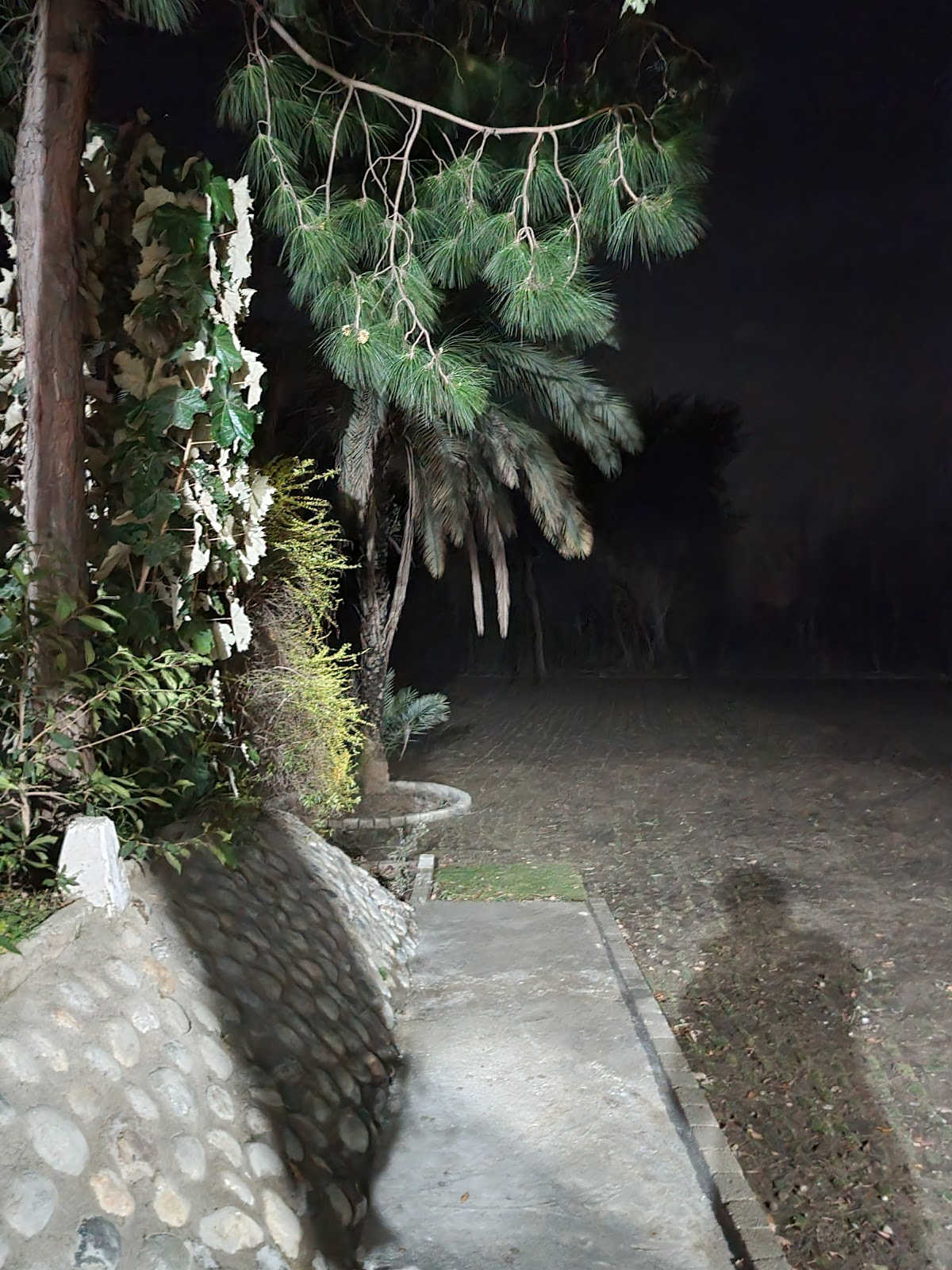 Khurshid Khan Farm House — photo 8