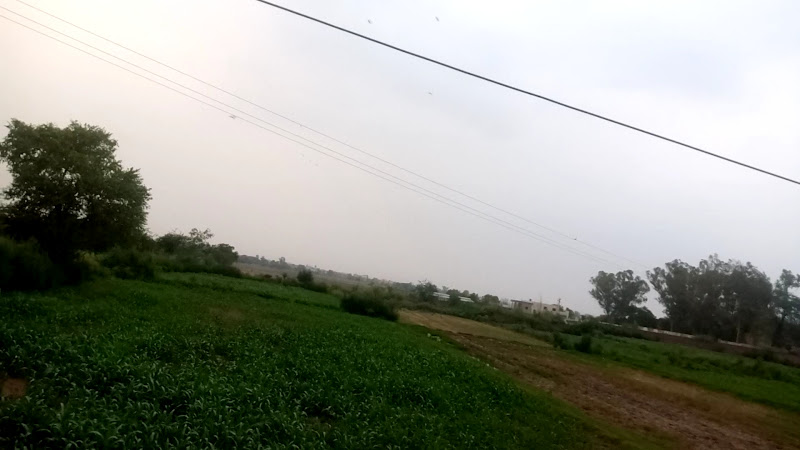 Hotel - boys hostel in Sialkot, Punjab