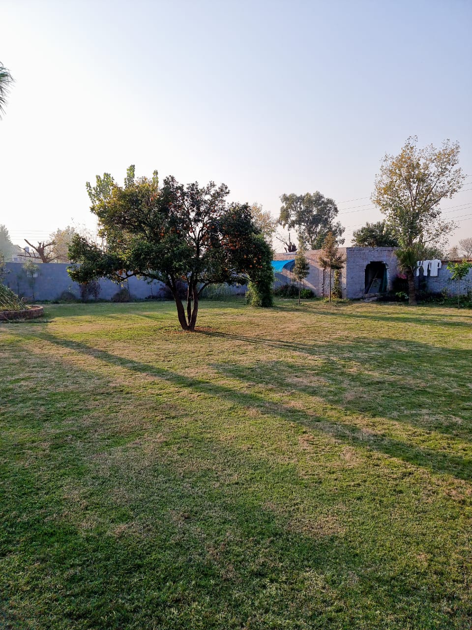 Rehmat greens farm house — photo 10