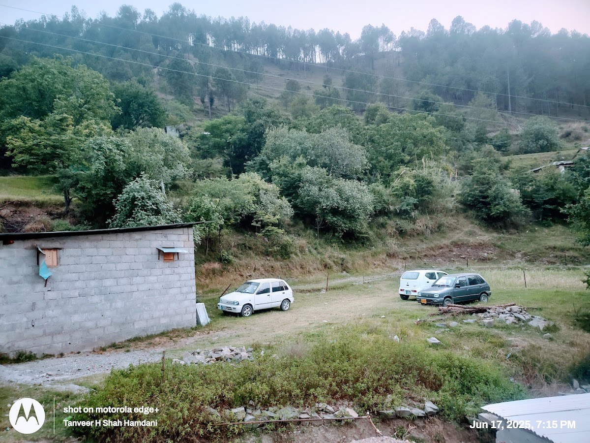 Comfort Suites Lara Gora — photo 7