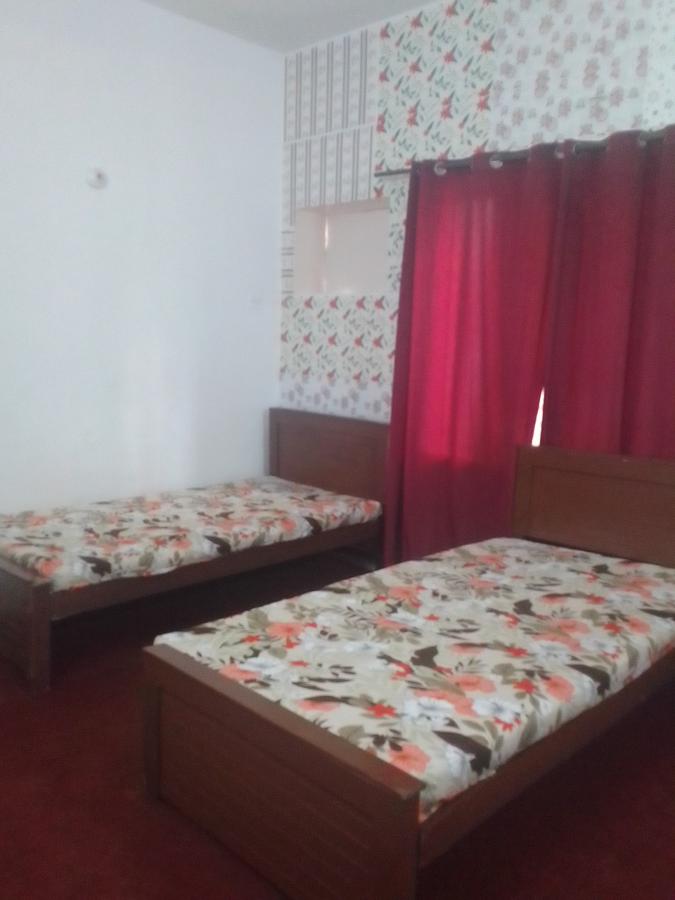 Air green Girls hostel — photo 7