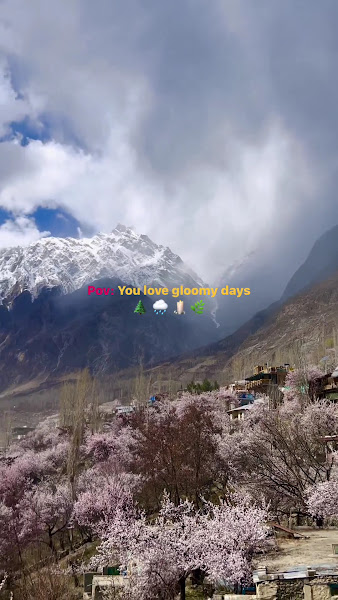 The Hunza Lodge By Folks — photo 7