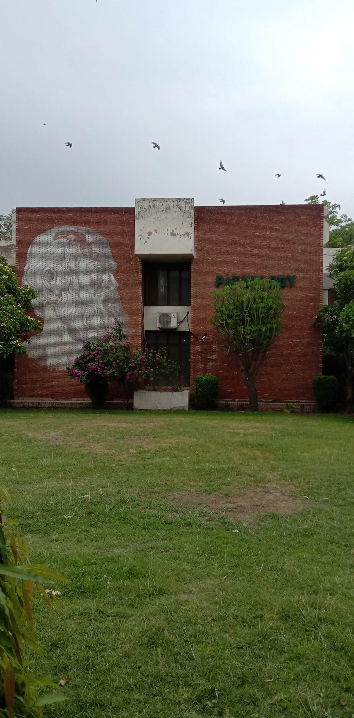 Boys Hostel No. 1, Allama Iqbal Medical College. — photo 6