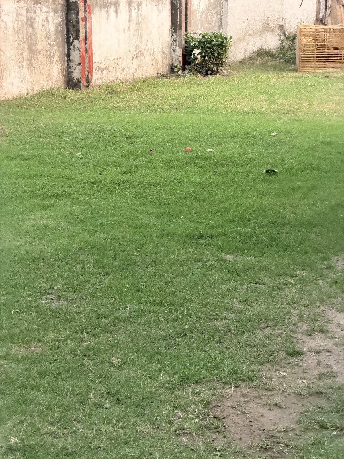 Residence 24B3 Gulberg III — photo 10