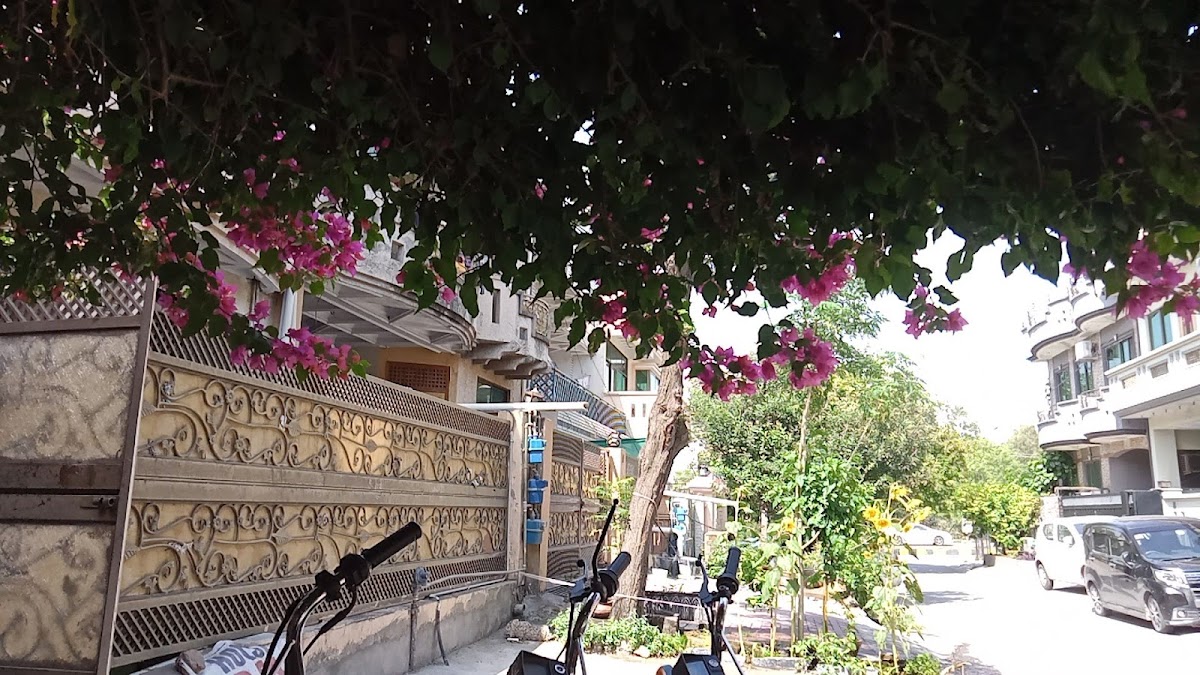 Shalimar Group Of Hostels