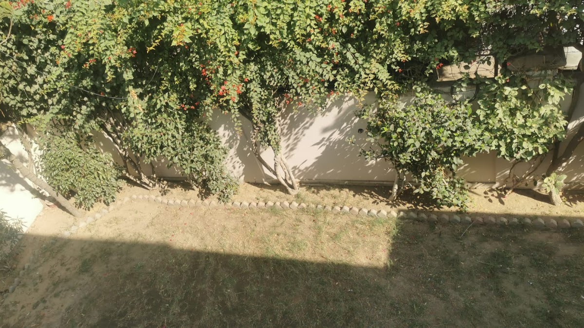 Family Guest House — photo 9