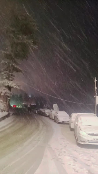 All Swat tourism and rent a car — photo 8