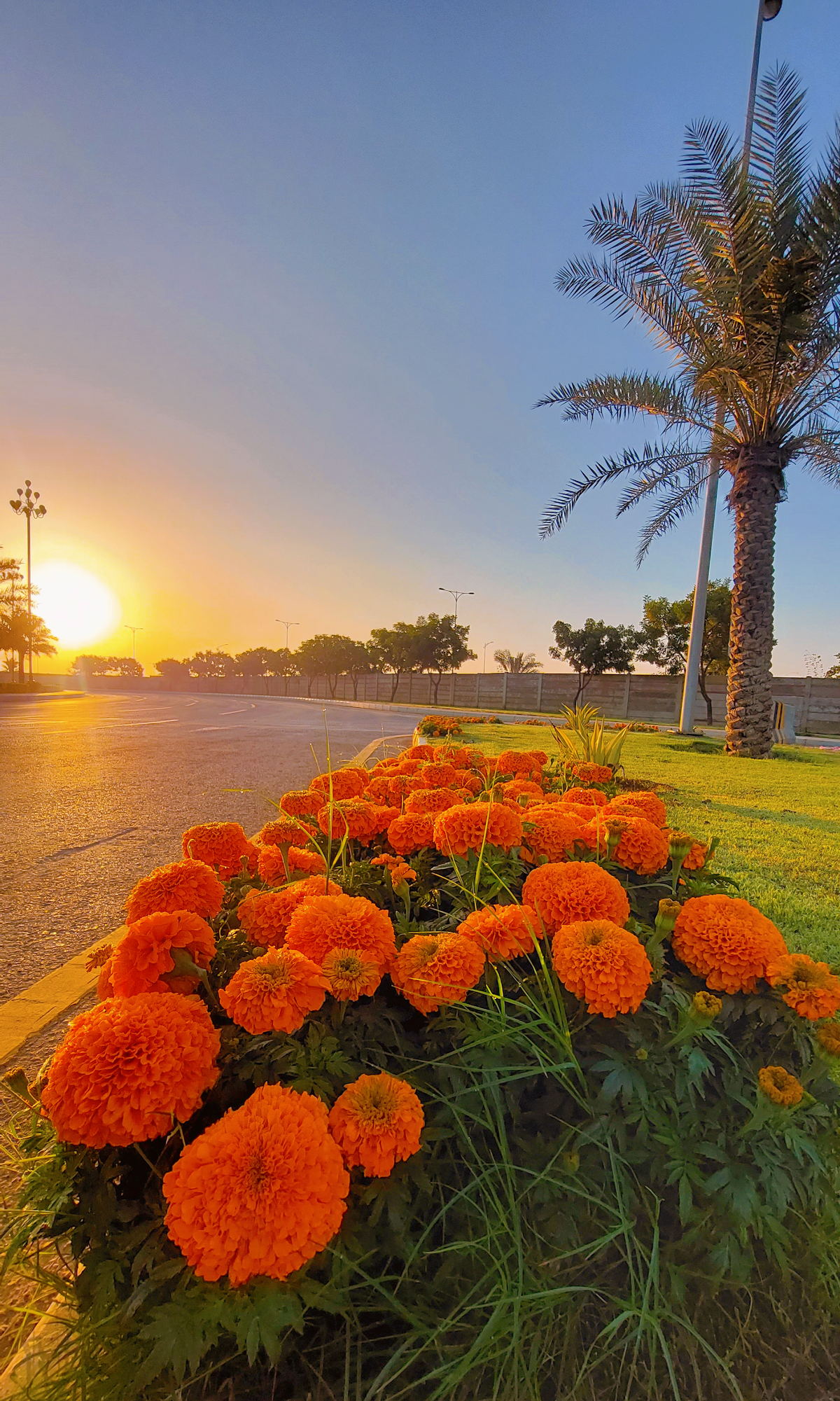 Bahria Farmhouses Gate 1, — photo 6