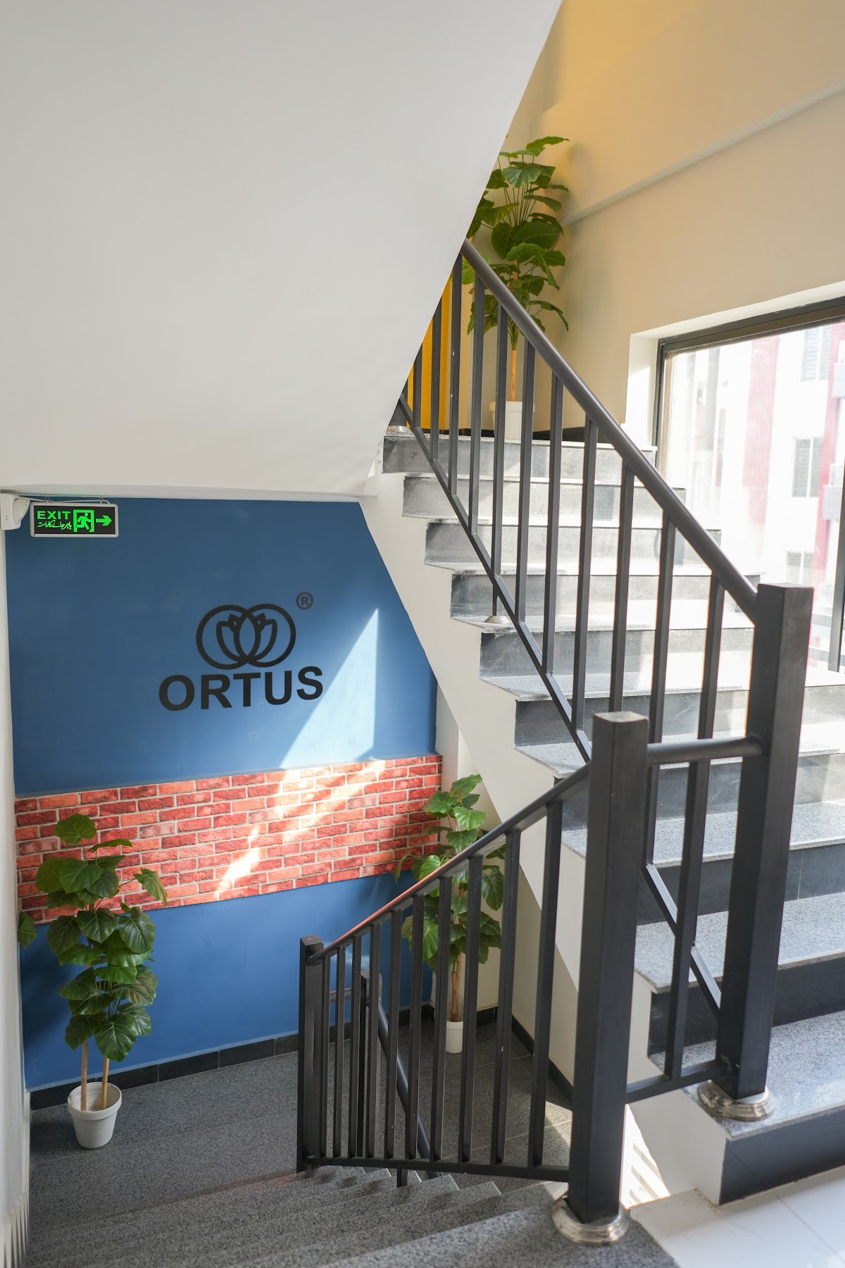 ORTUS
