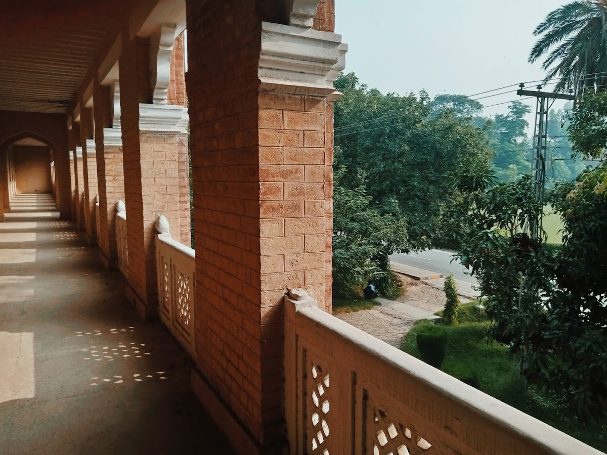 Hailey Hall, UAF — photo 8