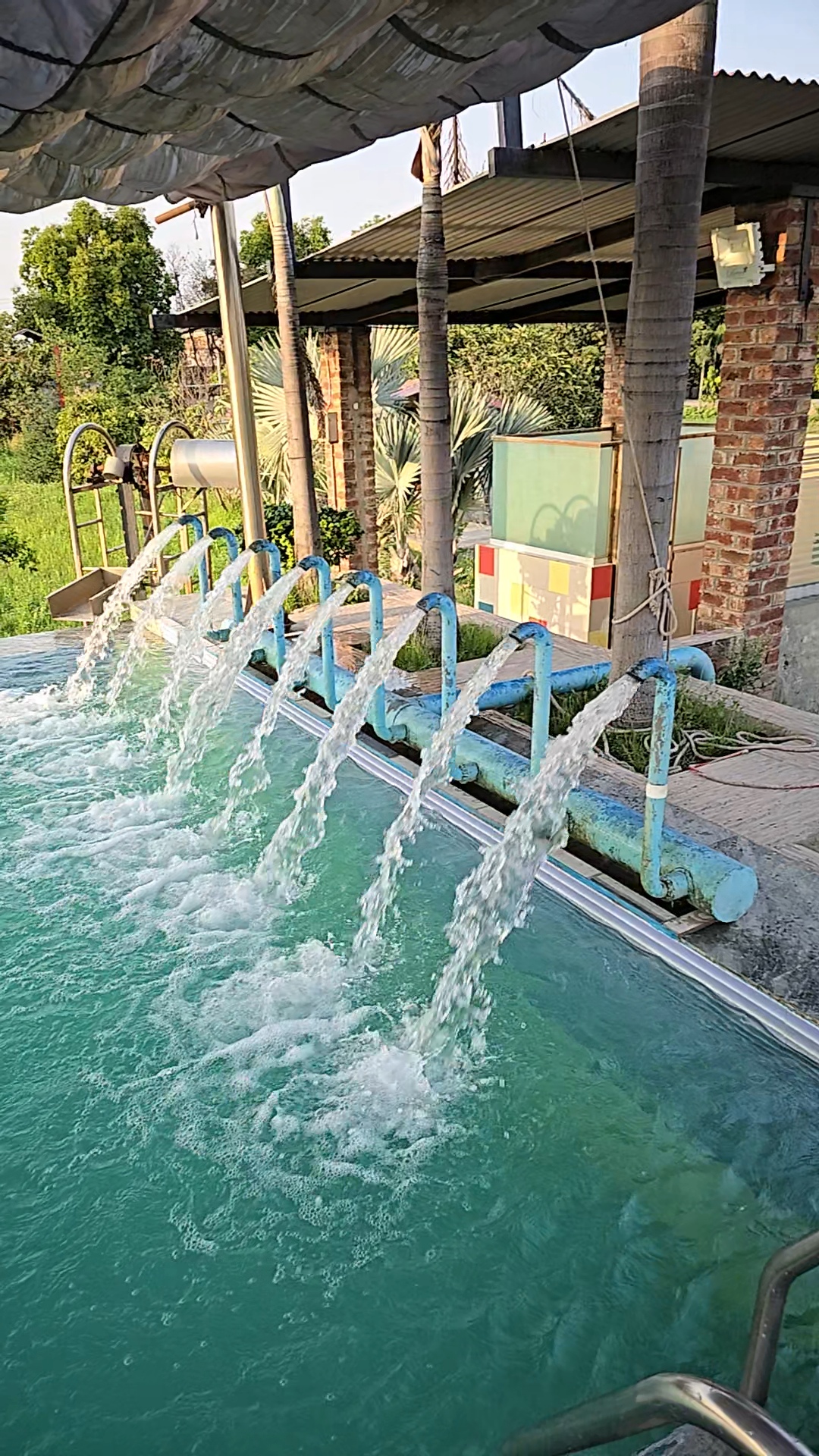 Springfield Farm House & Resort