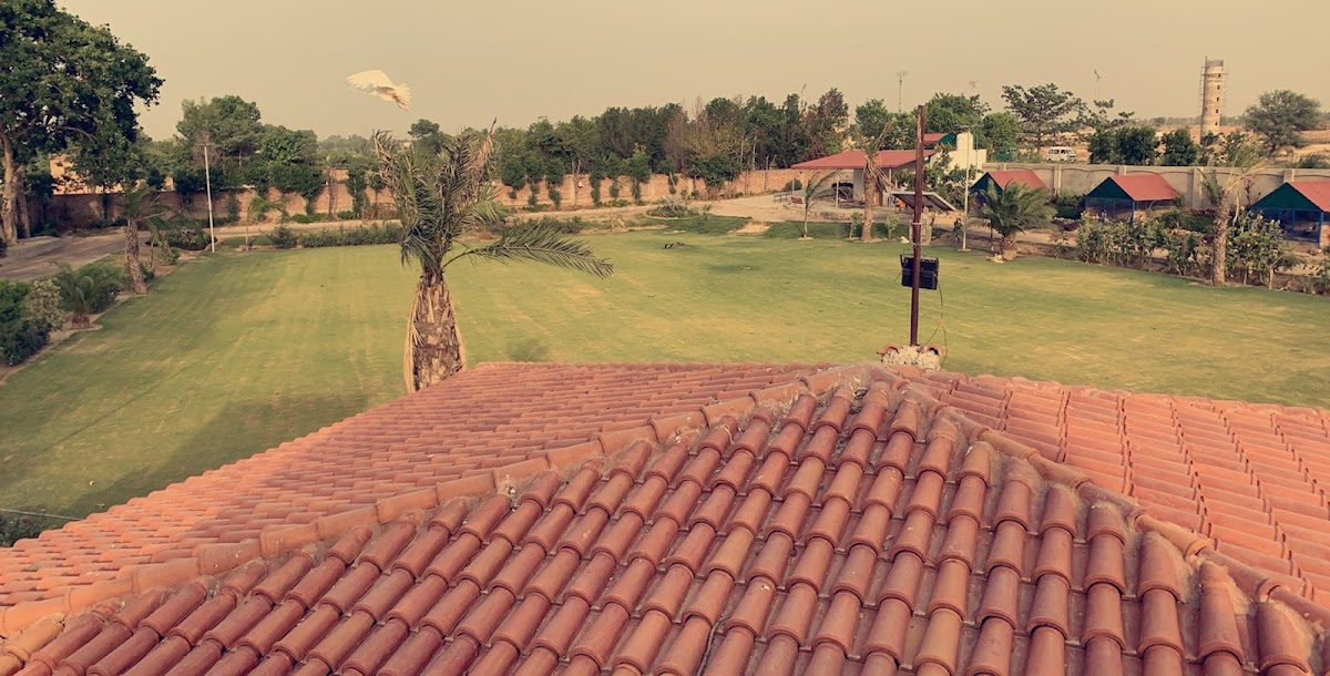 Gillani Farmhouse — photo 8