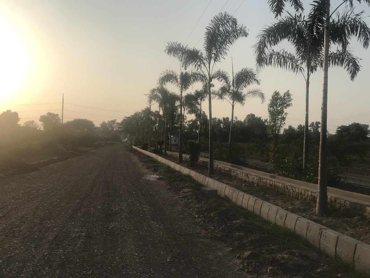 Farm House Land — photo 7