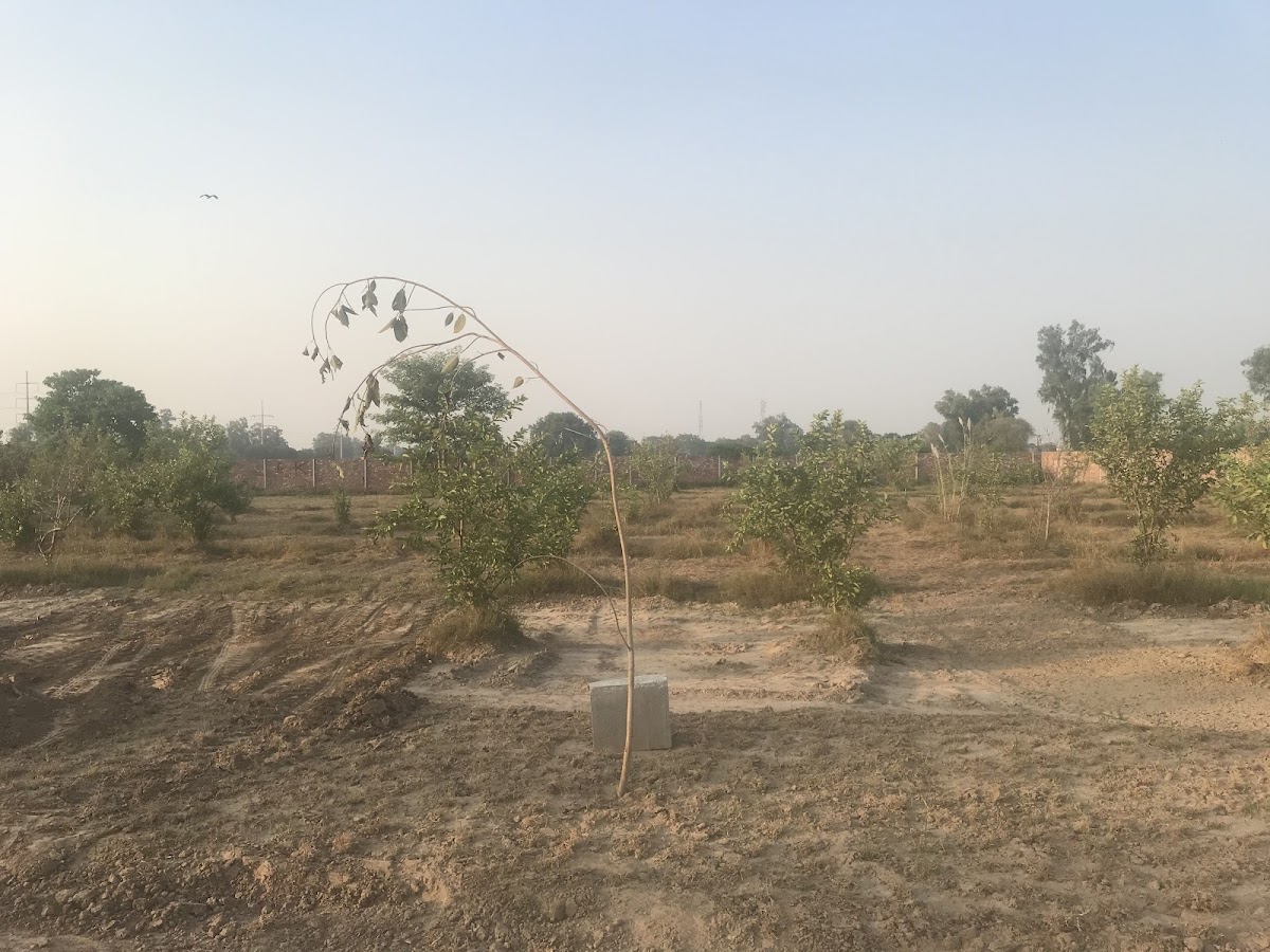 Farm House Land — photo 8