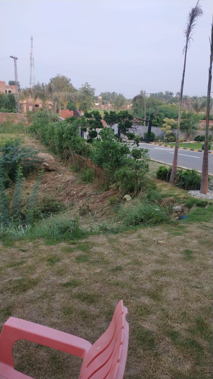 Farm House Land — photo 9