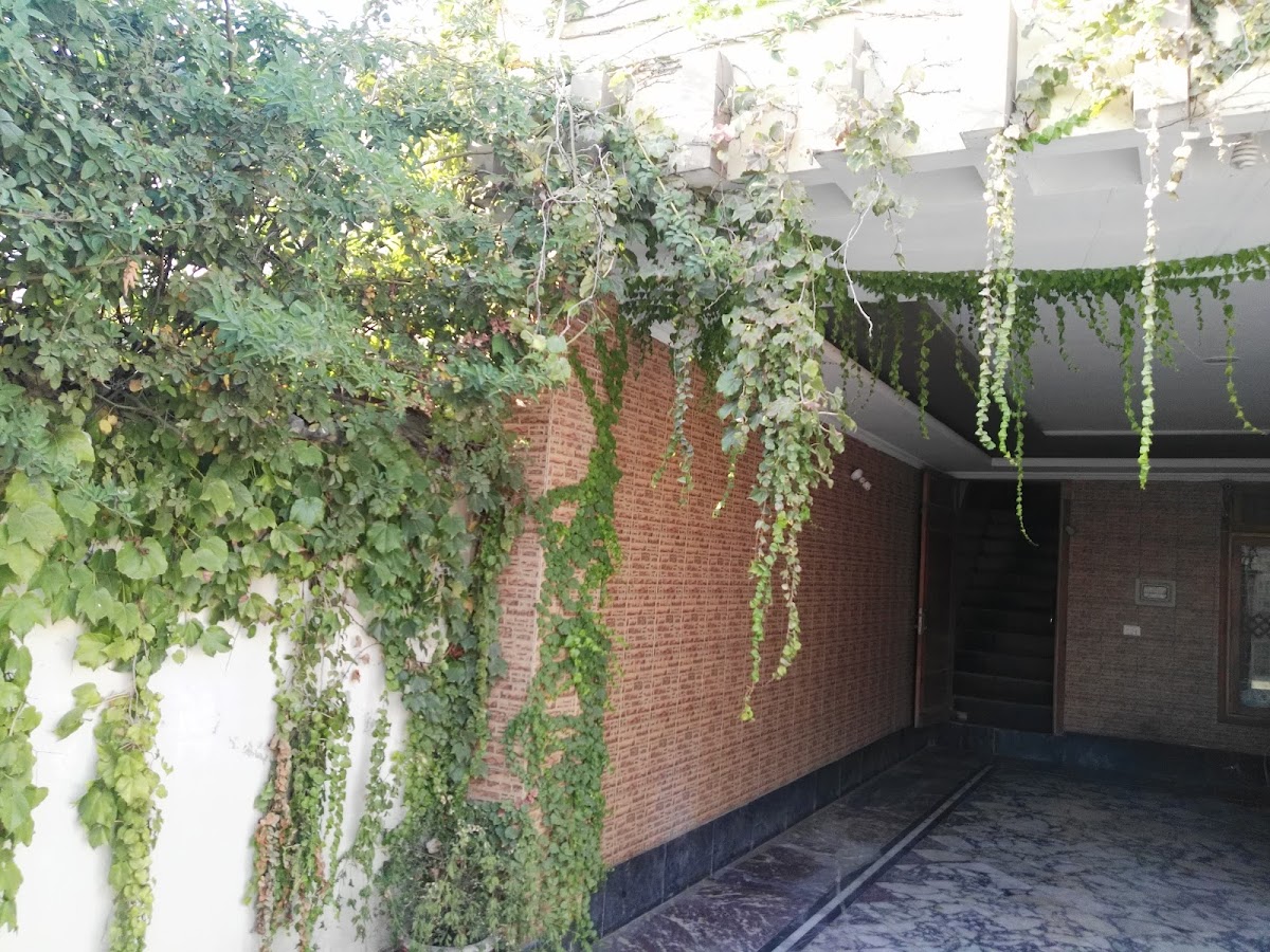 Thandiani View Guest House — photo 10