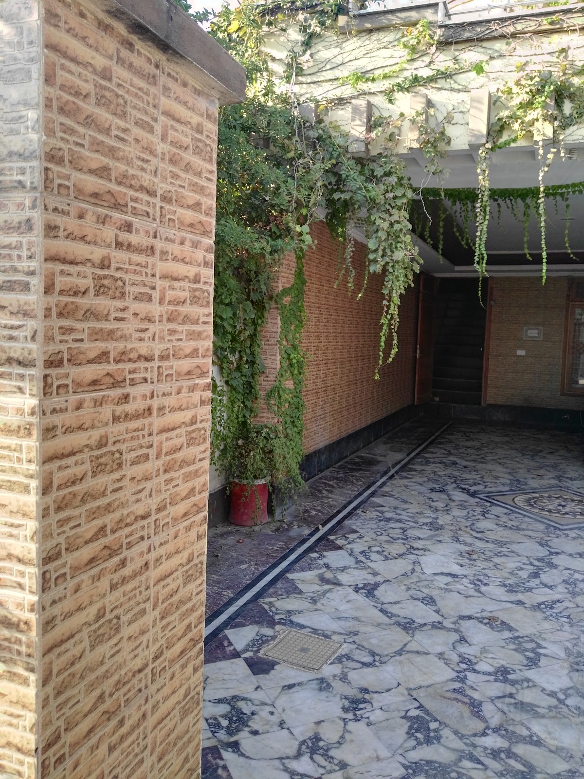 Thandiani View Guest House — photo 7