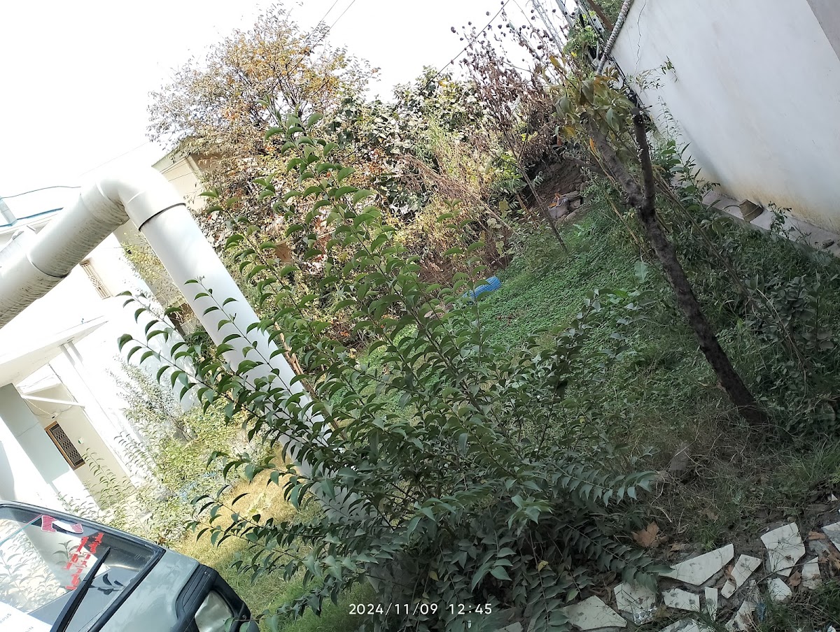 Rahat Boys Hostel ( Roof Top Organic) — photo 7