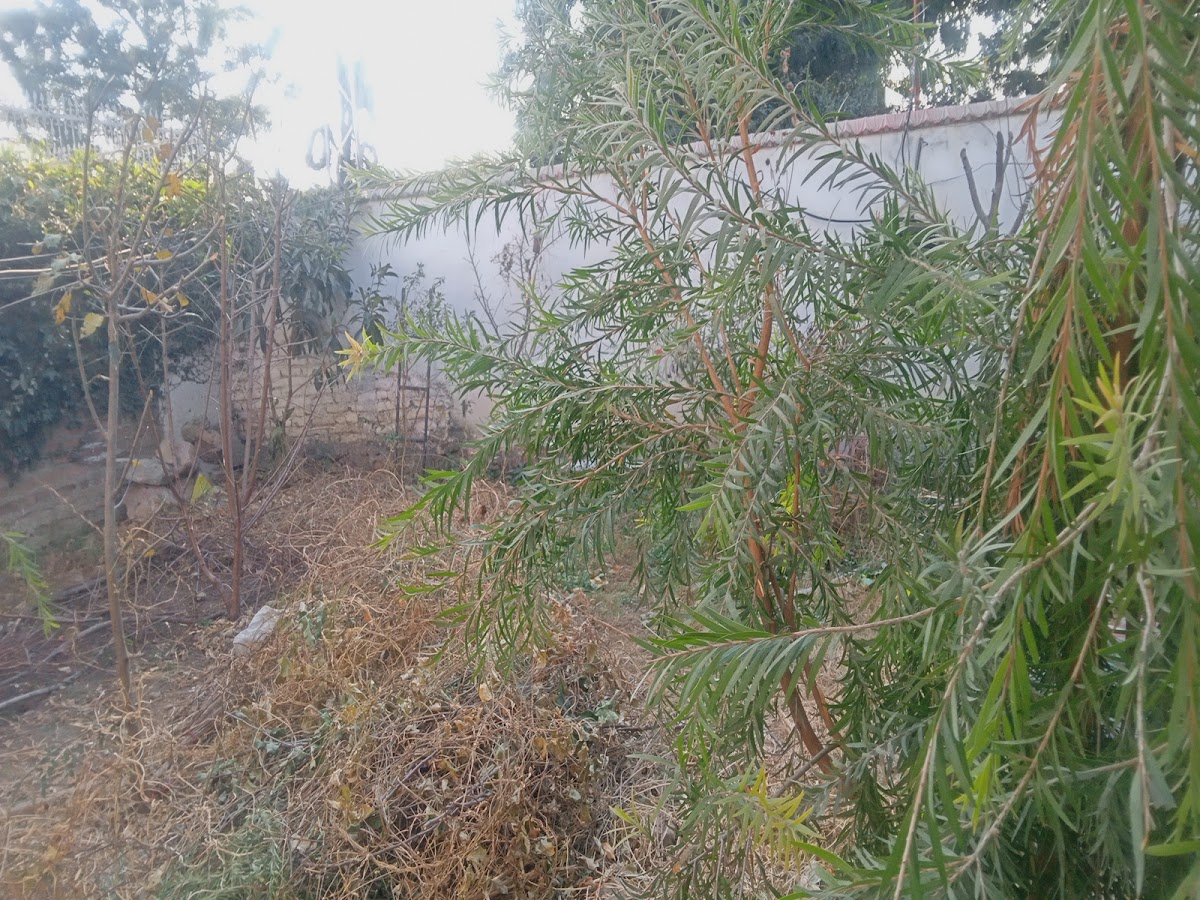 Rahat Boys Hostel ( Roof Top Organic) — photo 8