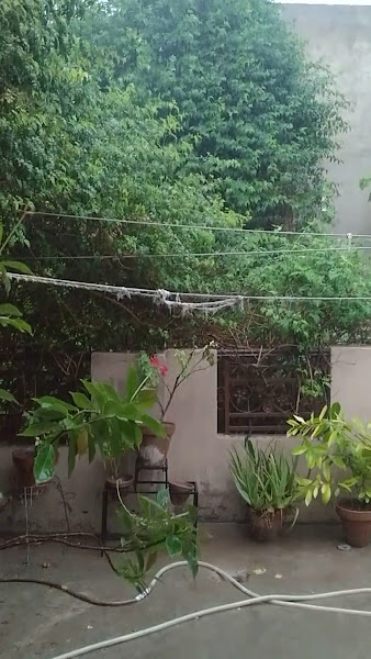Tulip Girls Hostel Multan — photo 6