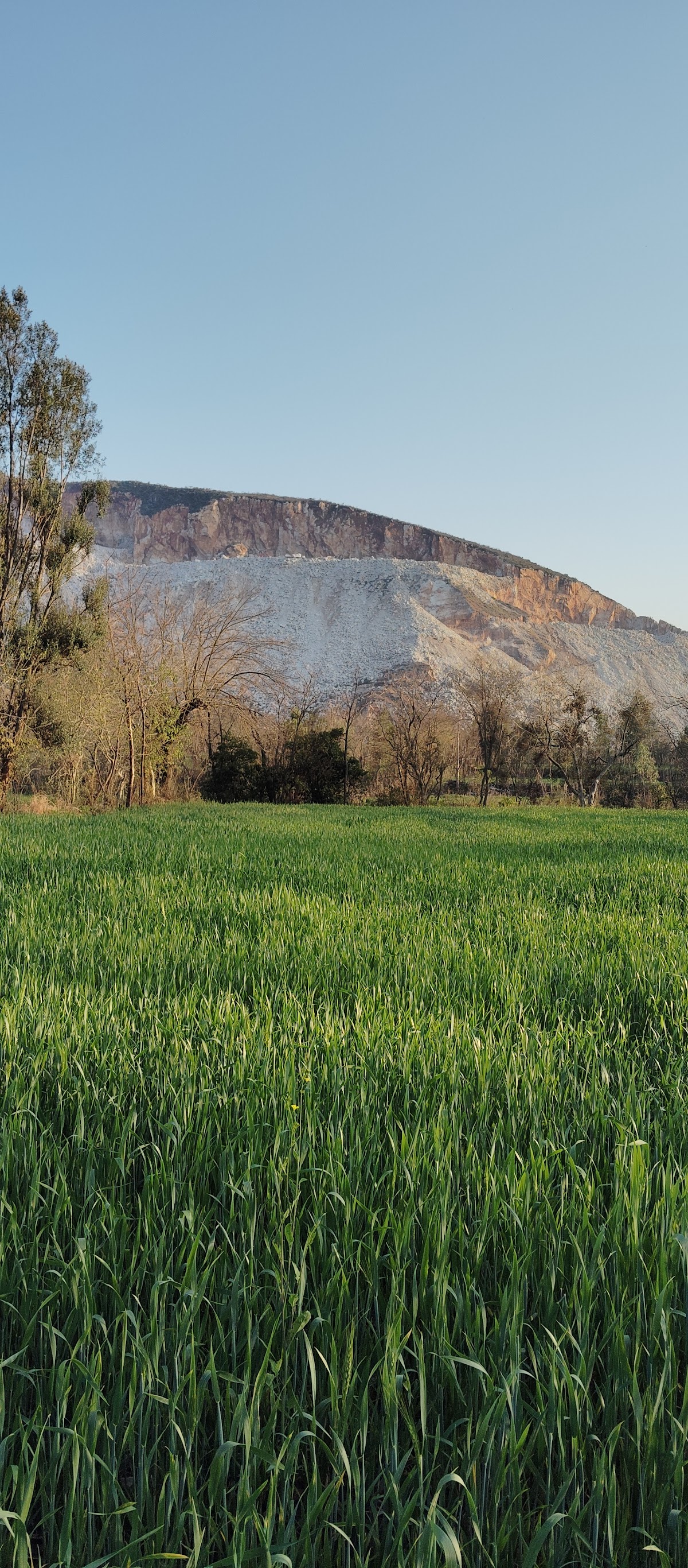 samar farm house bunir kpk — photo 10
