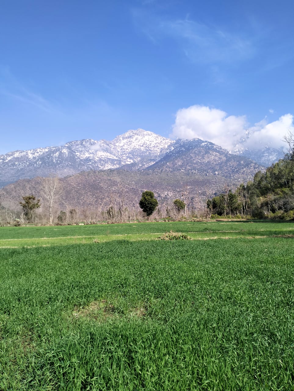 samar farm house bunir kpk — photo 9