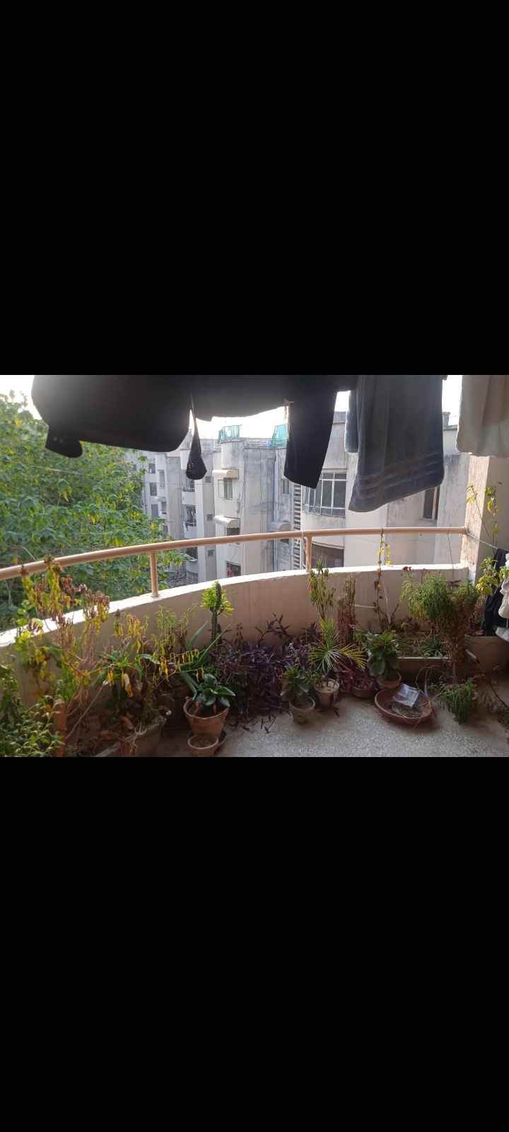 Al Sheikh Boyes Hostel — photo 9